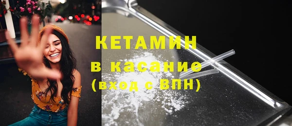 индика Новозыбков