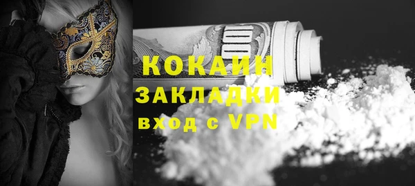 ПСИЛОЦИБИНОВЫЕ ГРИБЫ Магас