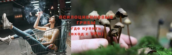 спайс Мегион