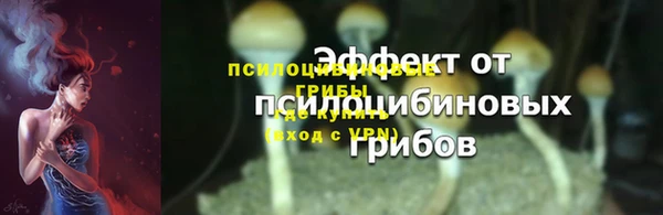 дмт Медвежьегорск