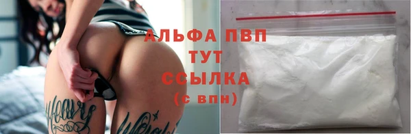 ПСИЛОЦИБИНОВЫЕ ГРИБЫ Магас