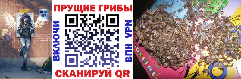 omg зеркало Евпатория Галлюциногенные грибы ЛСД