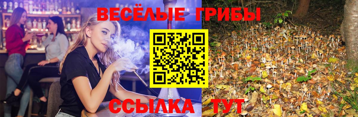 Псилоцибиновые грибы Magic Shrooms Евпатория