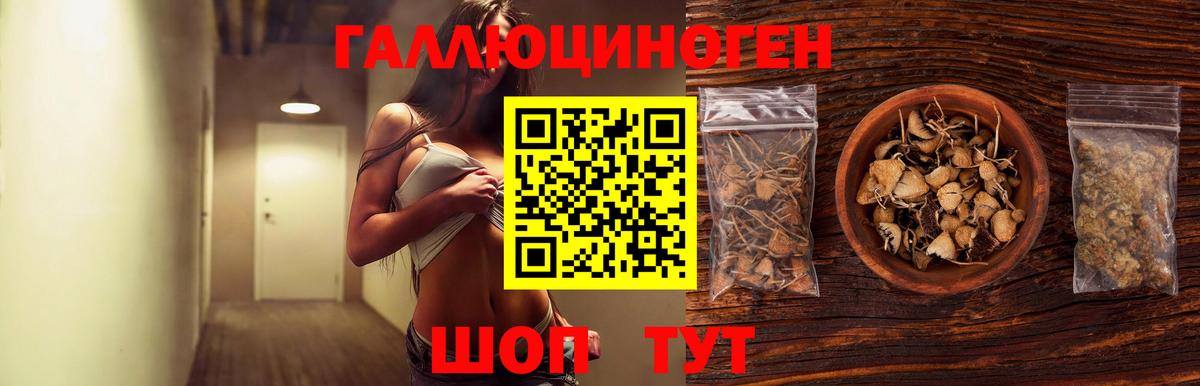 Евпатория  Псилоцибиновые грибы Psilocybe  Вход с VPN 